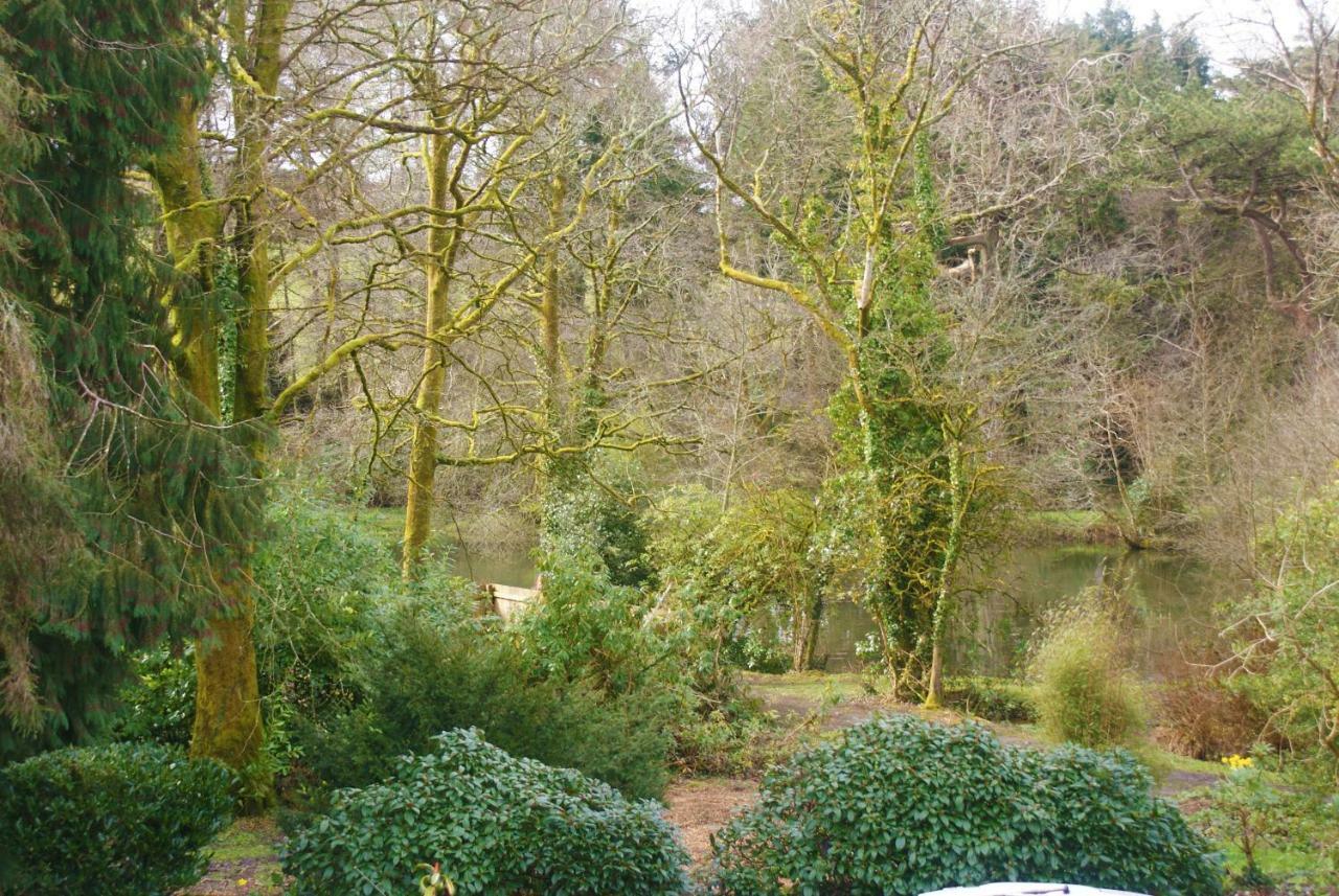 Hope Cottage Modbury 外观 照片